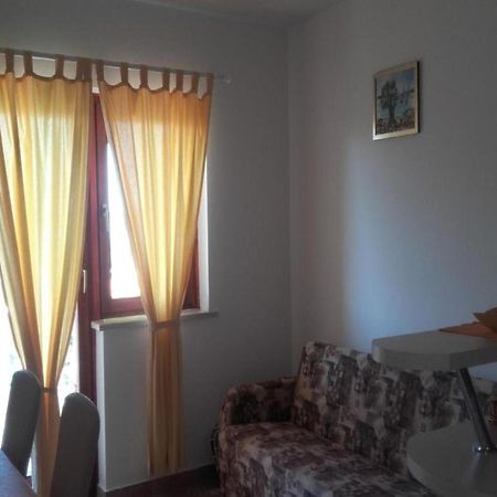 Apartments Smilje I Maslina Gornji Karin Rum bild