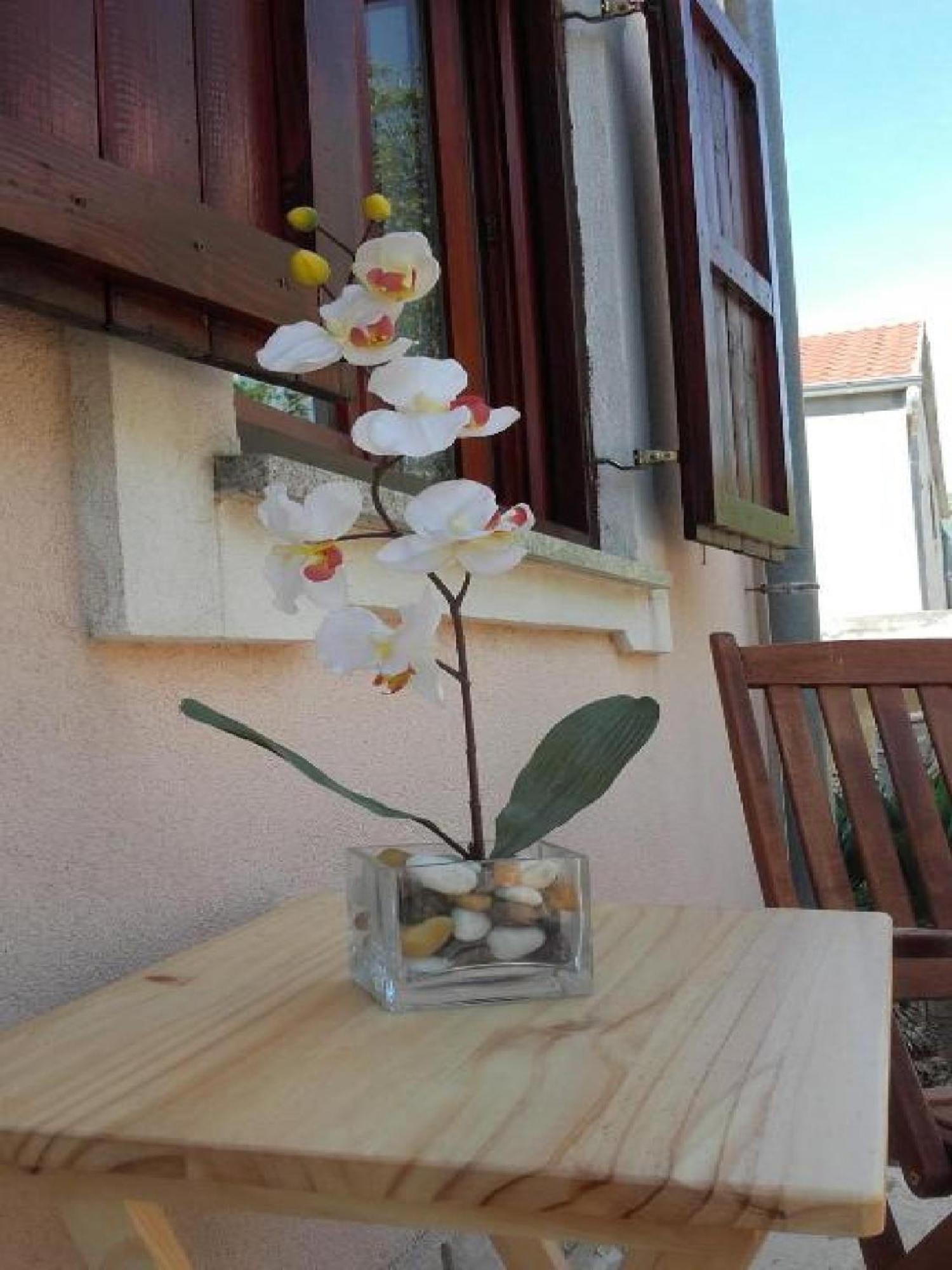 Apartments Smilje I Maslina Gornji Karin Rum bild